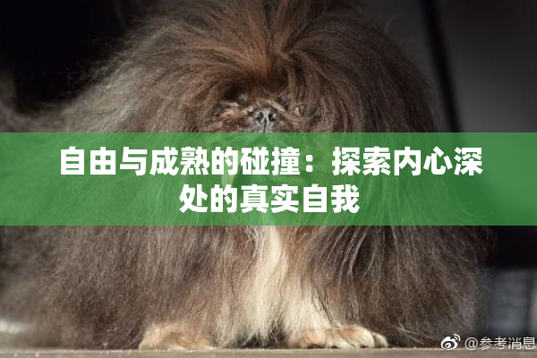 自由与成熟的碰撞：探索内心深处的真实自我