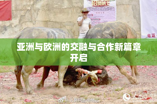 亚洲与欧洲的交融与合作新篇章开启