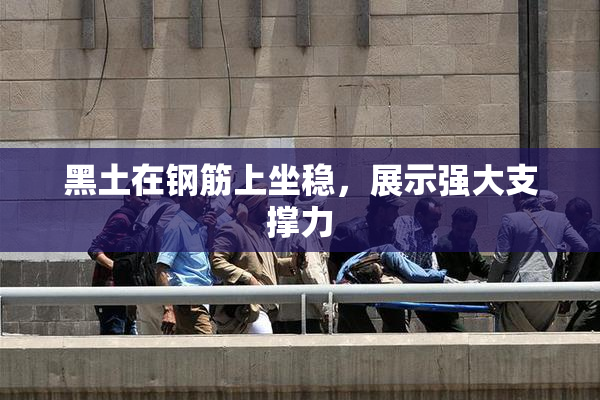 黑土在钢筋上坐稳，展示强大支撑力