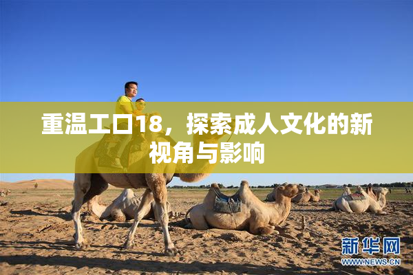 重温工口18，探索成人文化的新视角与影响