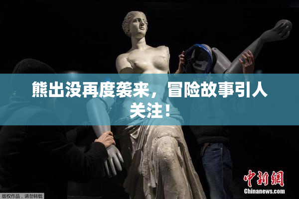 熊出没再度袭来，冒险故事引人关注！
