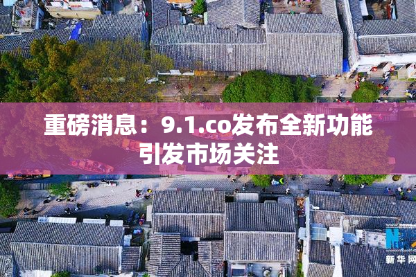重磅消息：9.1.co发布全新功能引发市场关注