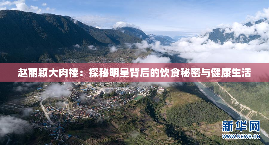 赵丽颖大肉榛：探秘明星背后的饮食秘密与健康生活