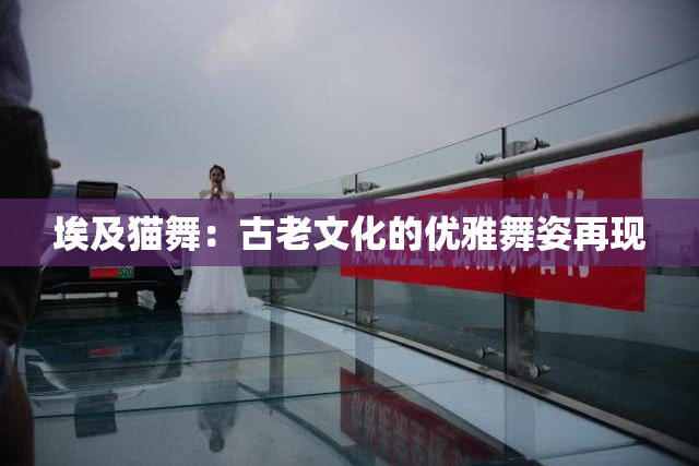 埃及猫舞：古老文化的优雅舞姿再现