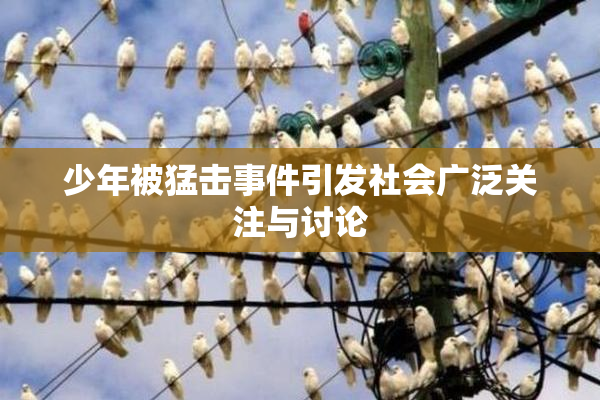 少年被猛击事件引发社会广泛关注与讨论