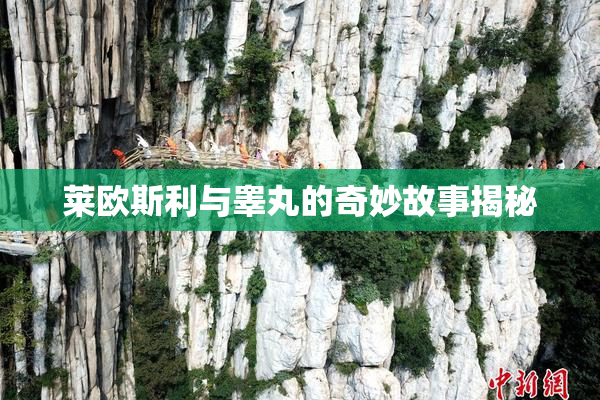 莱欧斯利与睾丸的奇妙故事揭秘