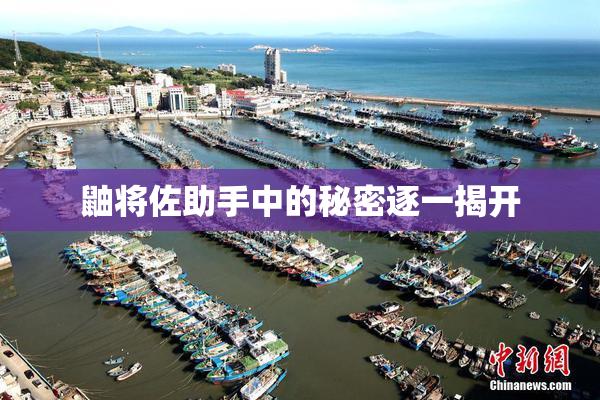 鼬将佐助手中的秘密逐一揭开