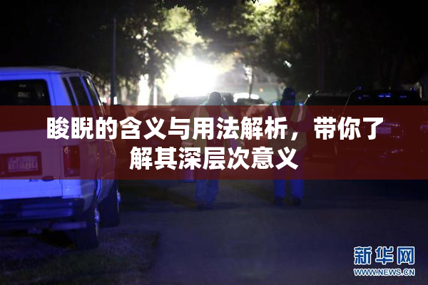 睃睨的含义与用法解析，带你了解其深层次意义