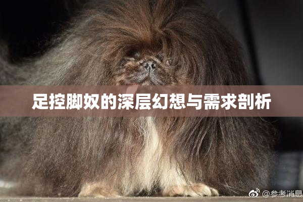 足控脚奴的深层幻想与需求剖析