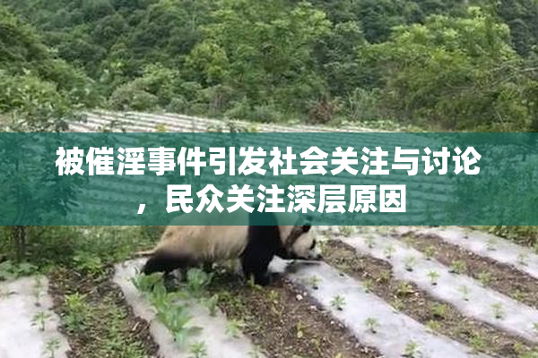 被催淫事件引发社会关注与讨论，民众关注深层原因