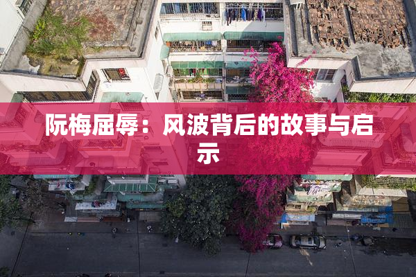 阮梅屈辱：风波背后的故事与启示