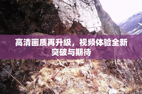 高清画质再升级，视频体验全新突破与期待