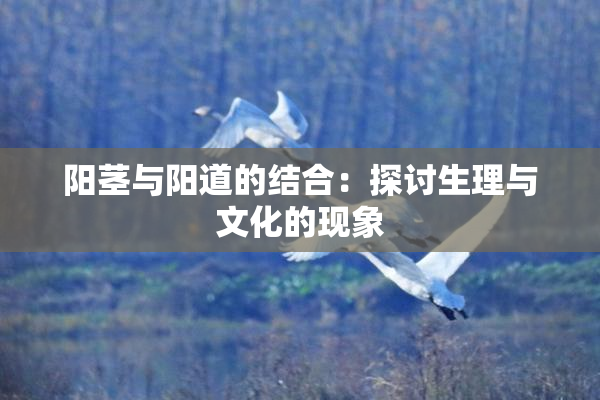 阳茎与阳道的结合：探讨生理与文化的现象