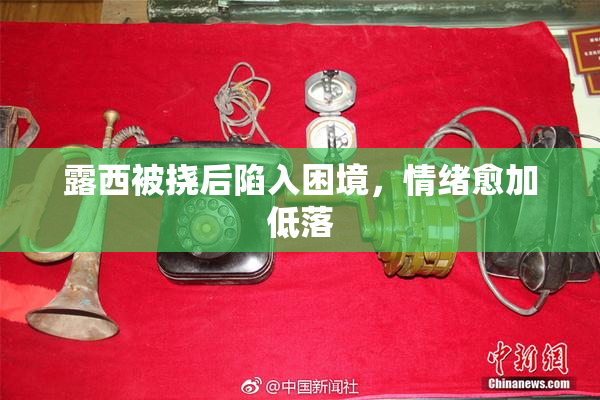 露西被挠后陷入困境，情绪愈加低落