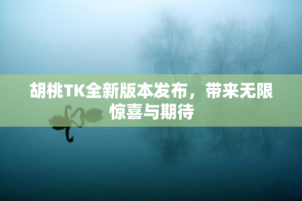 胡桃TK全新版本发布，带来无限惊喜与期待