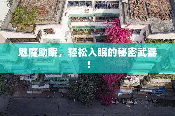 魅魔助眠，轻松入眠的秘密武器！