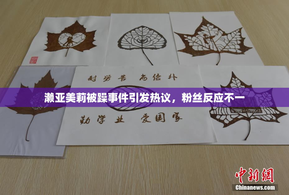 濑亚美莉被躁事件引发热议，粉丝反应不一