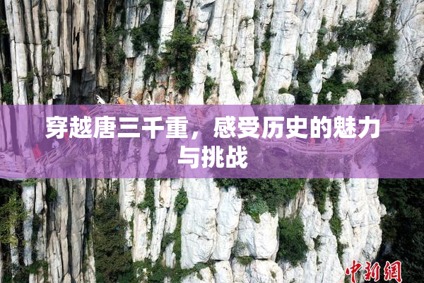 穿越唐三千重，感受历史的魅力与挑战