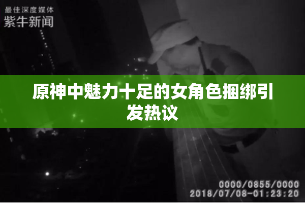 原神中魅力十足的女角色捆绑引发热议