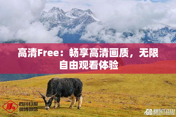 高清Free：畅享高清画质，无限自由观看体验