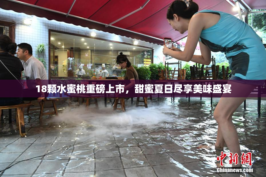 18颗水蜜桃重磅上市，甜蜜夏日尽享美味盛宴