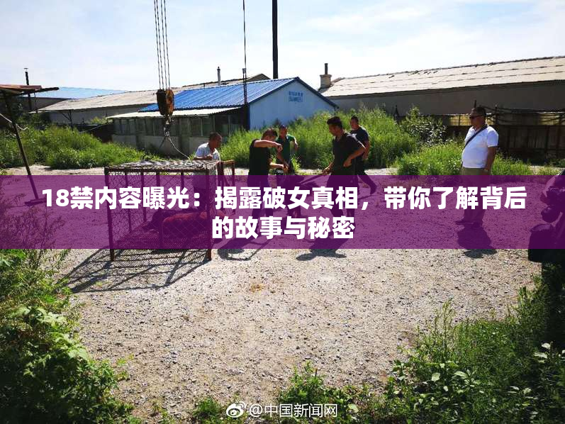 18禁内容曝光：揭露破女真相，带你了解背后的故事与秘密