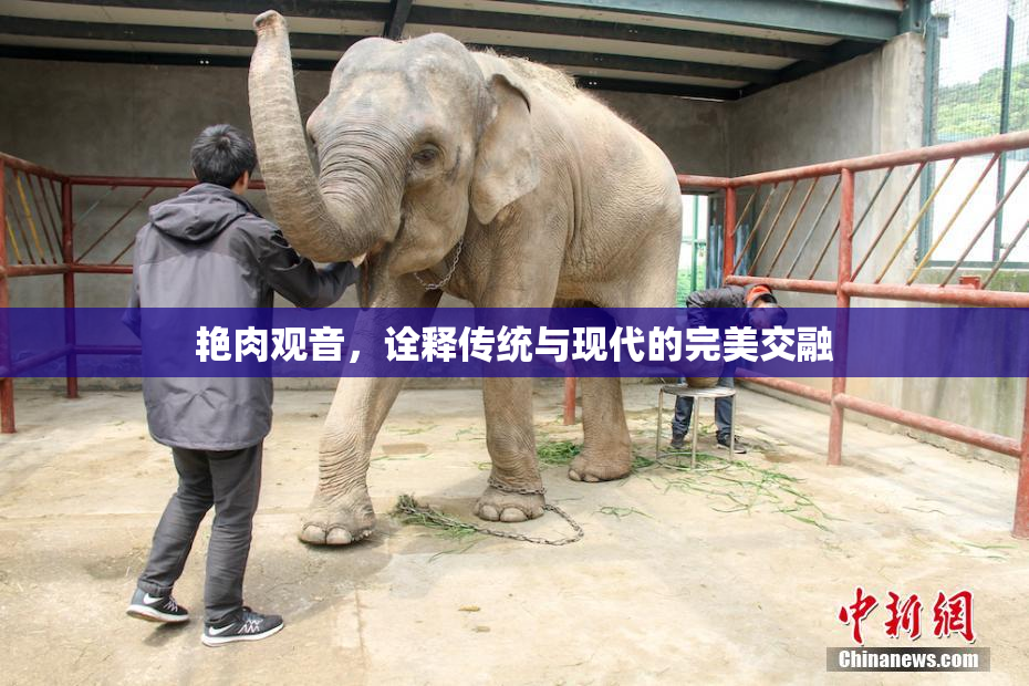 艳肉观音，诠释传统与现代的完美交融