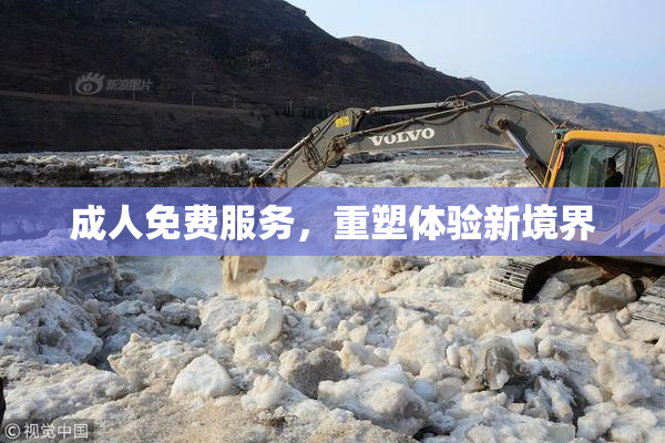 成人免费服务，重塑体验新境界