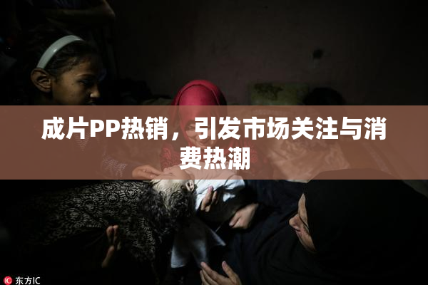 成片PP热销，引发市场关注与消费热潮