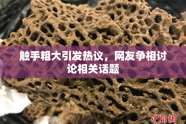 触手粗大引发热议，网友争相讨论相关话题