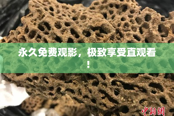 永久免费观影，极致享受直观看！