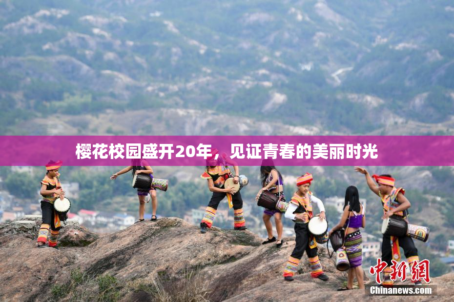 樱花校园盛开20年，见证青春的美丽时光