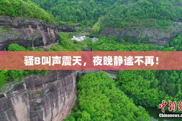 骚B叫声震天，夜晚静谧不再！