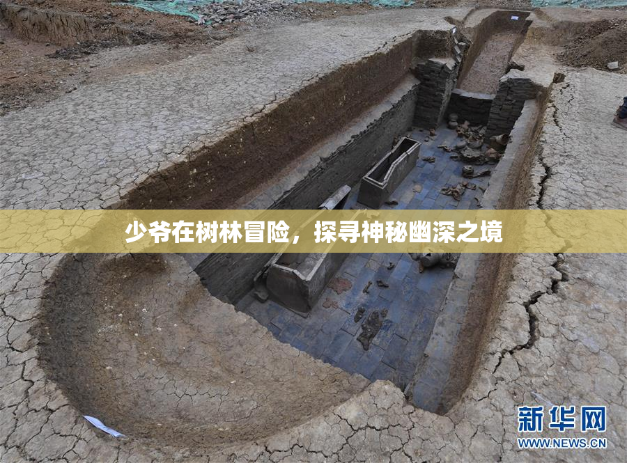 少爷在树林冒险，探寻神秘幽深之境