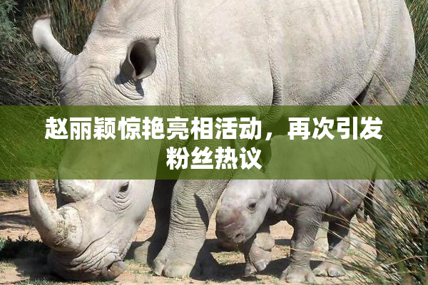 赵丽颖惊艳亮相活动，再次引发粉丝热议