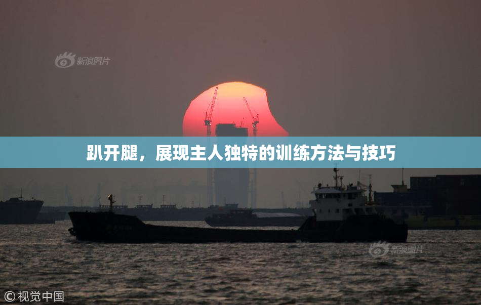 趴开腿，展现主人独特的训练方法与技巧