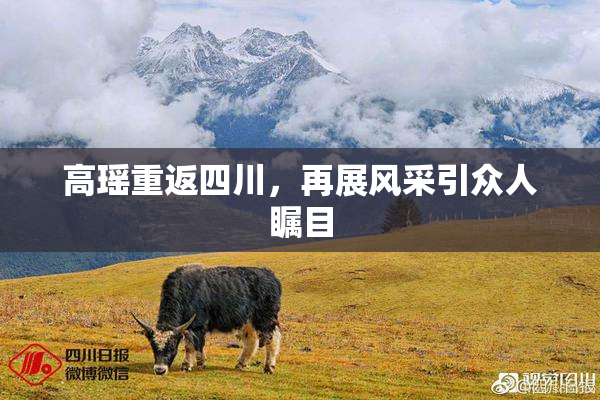 高瑶重返四川，再展风采引众人瞩目
