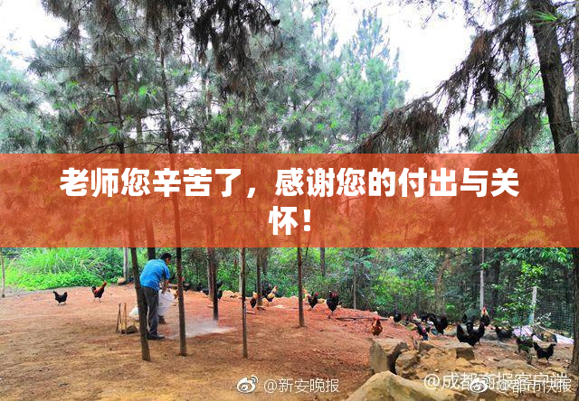 老师您辛苦了，感谢您的付出与关怀！