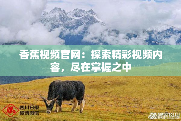 香蕉视频官网：探索精彩视频内容，尽在掌握之中