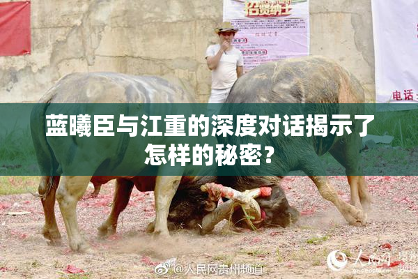 蓝曦臣与江重的深度对话揭示了怎样的秘密？