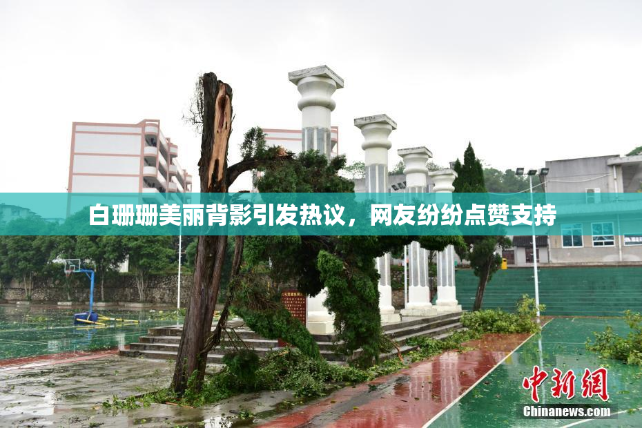 白珊珊美丽背影引发热议，网友纷纷点赞支持