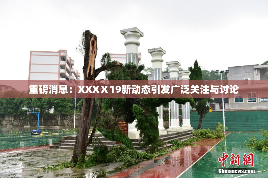 重磅消息：XXXⅩ19新动态引发广泛关注与讨论