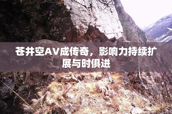 苍井空AV成传奇，影响力持续扩展与时俱进