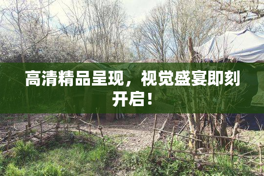 高清精品呈现，视觉盛宴即刻开启！