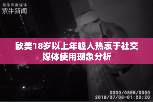 欧美18岁以上年轻人热衷于社交媒体使用现象分析