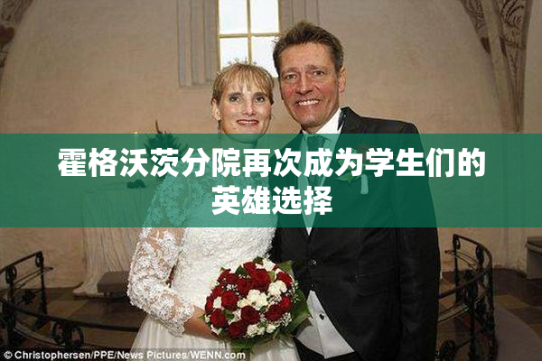 霍格沃茨分院再次成为学生们的英雄选择