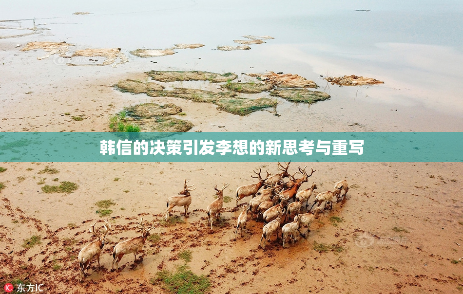 韩信的决策引发李想的新思考与重写