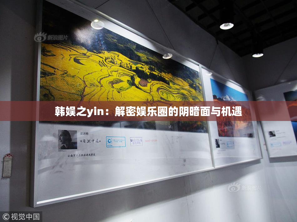 韩娱之yin：解密娱乐圈的阴暗面与机遇