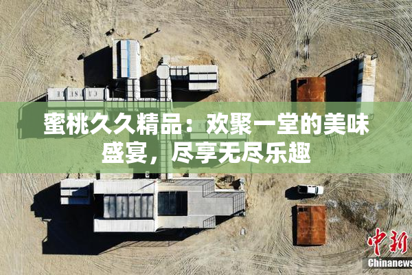蜜桃久久精品：欢聚一堂的美味盛宴，尽享无尽乐趣