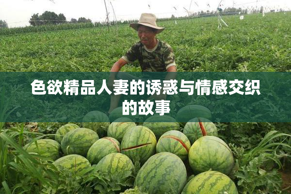 色欲精品人妻的诱惑与情感交织的故事